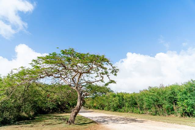拉德海滩（跑男海滩）
