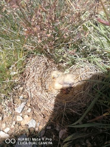 德令哈尕海国家湿地公园