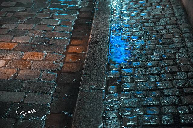 圣伊丽莎白教堂