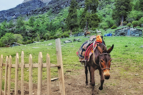 洛绒牛场旅游景点攻略图