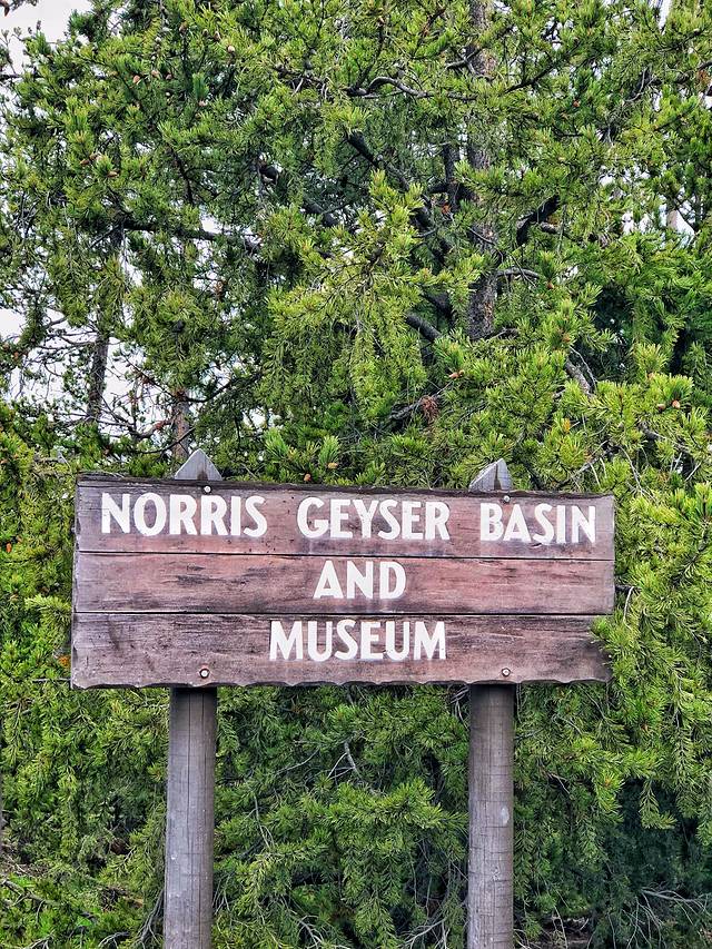 诺里斯间歇泉盆地