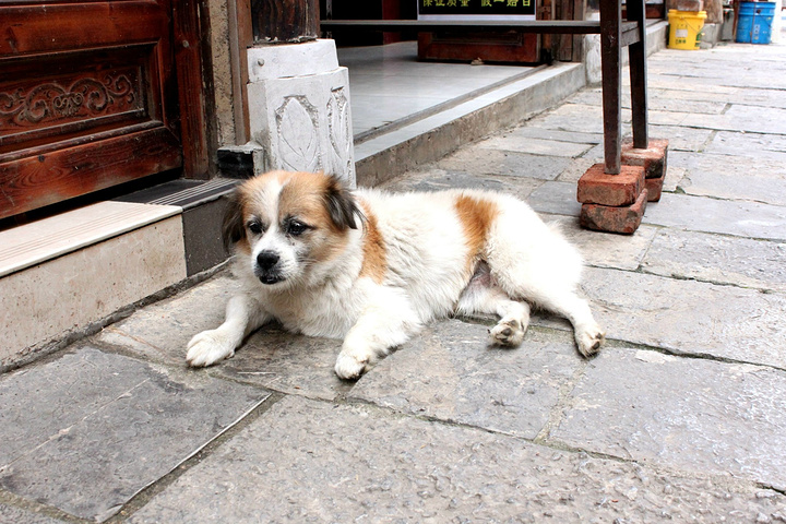 今天不是节假日,也过了暑假,街上游人很少。但