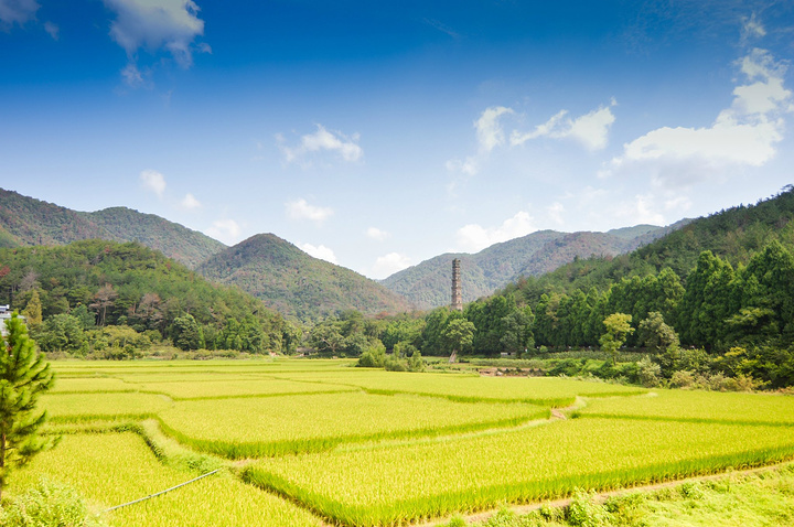 "依山就势而建，寺院每天迎来送往，游客如织。国清寺，被香烟缭绕了一千多年的“清净世界”_国清景区"的评论图片