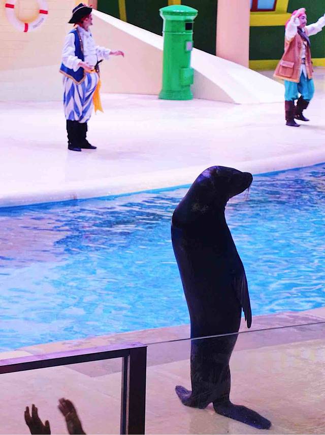 海狮剧场(入口2)