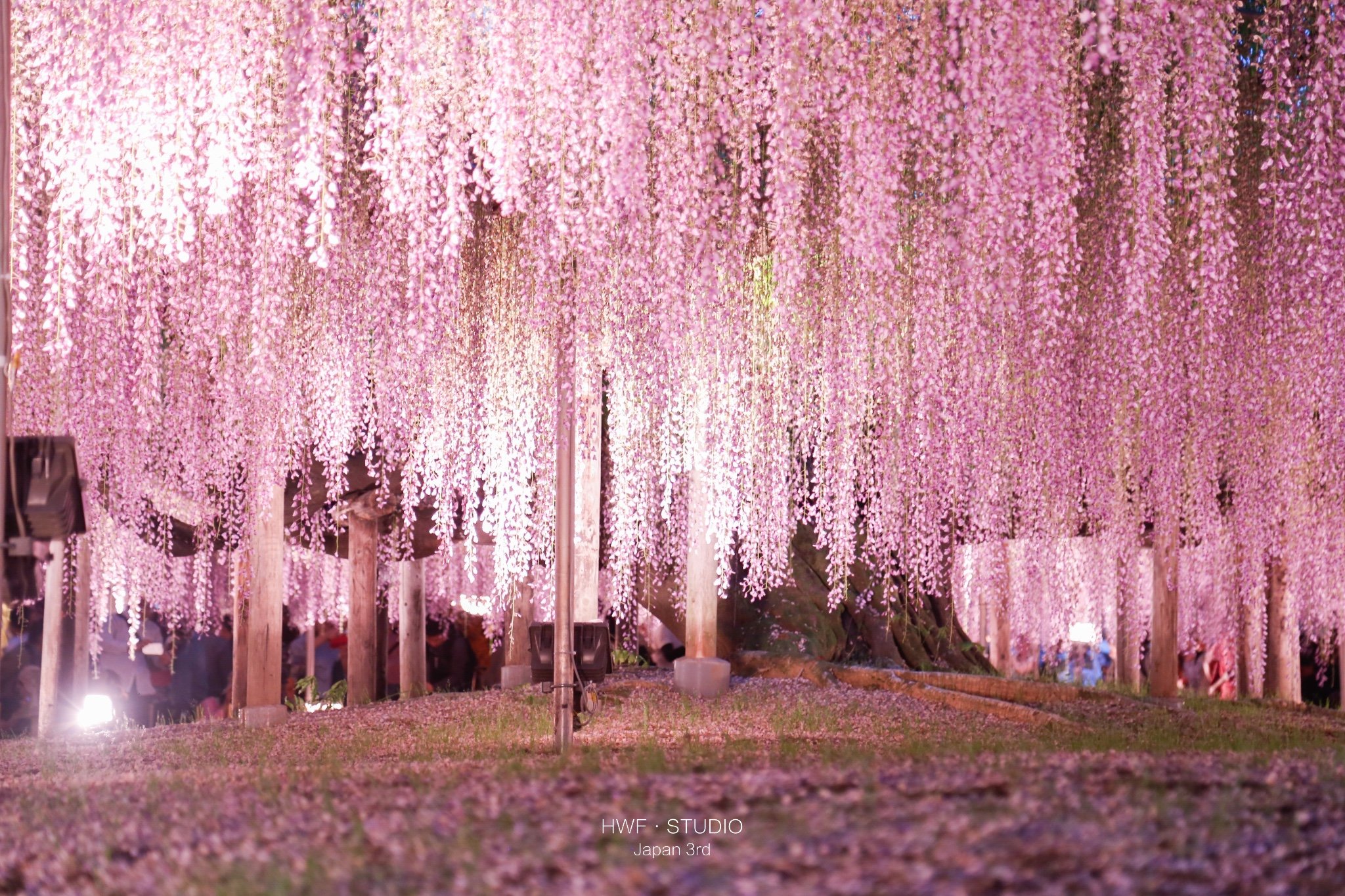 茨城县旅游攻略