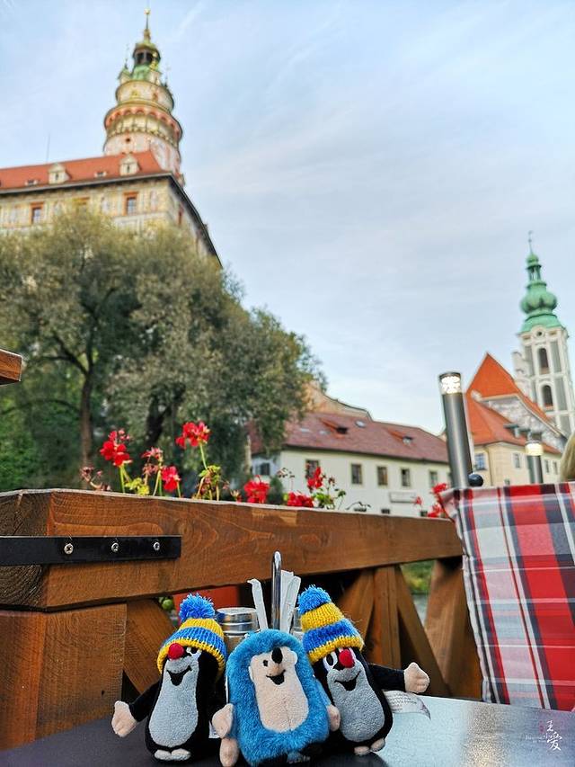 Hotel Dvorak - The River terrace