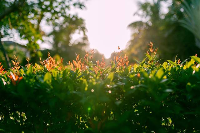 阿米亚娜度假水疗中心