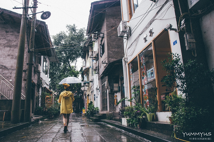 2019重庆旅游人口数据(2019年重庆旅游大数据报告)(图3) 2020重庆游玩攻略,重庆交通/住宿/行程/