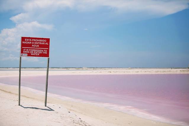 粉红湖