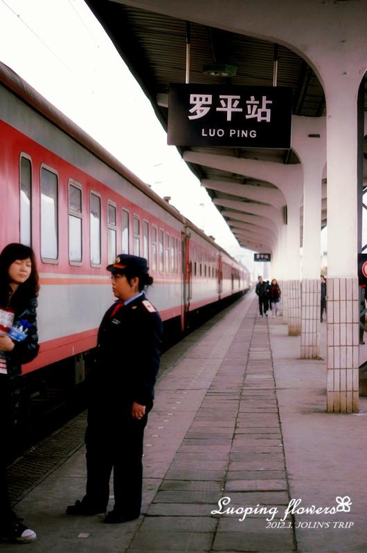 罗平站