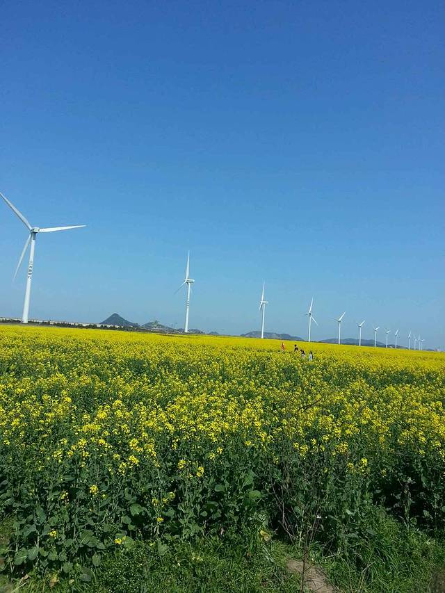松门滨海风景区