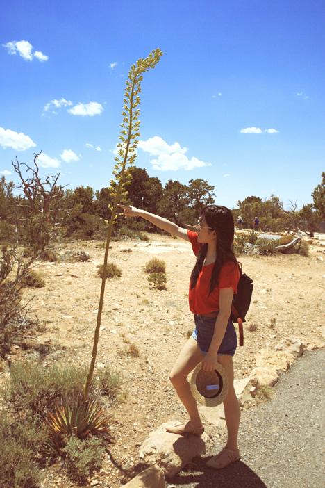 Grand Canyon Field Institute