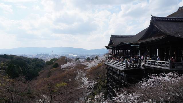 浪漫四月樱花现,动漫天堂秋叶原。