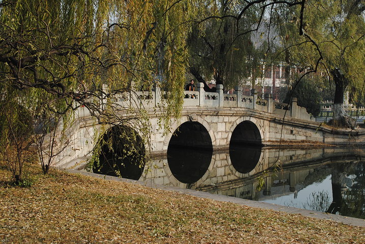 许多人去北京大学就像去朝圣一样,其实北大在