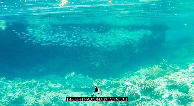 Inter-Island Helicopters