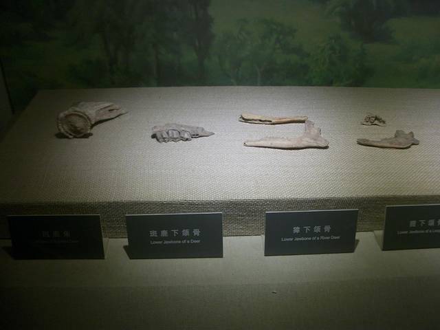 西安半坡博物馆