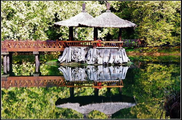 阿里山国家森林游乐区