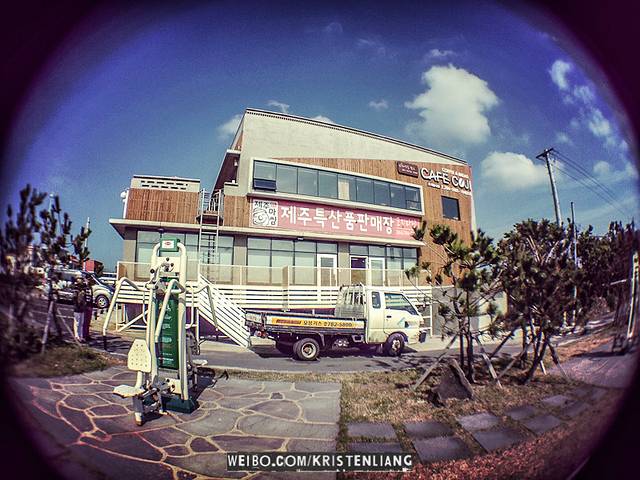 春季悠游八天:赏樱&油菜花攻略