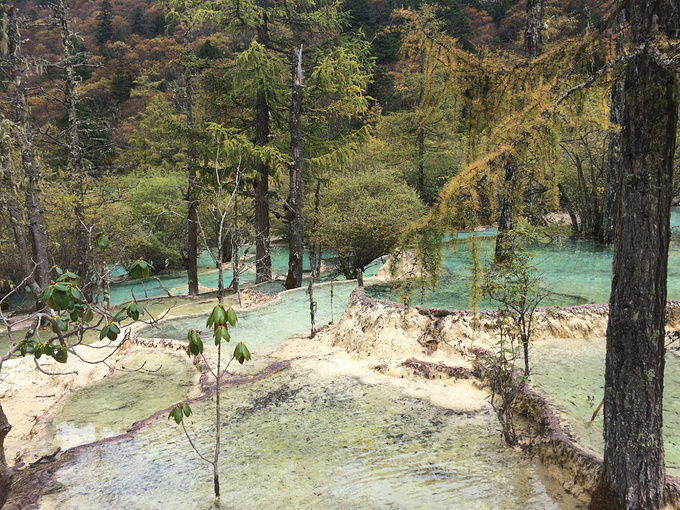 【十一】九寨之旅-旅游攻略-游记-去哪儿攻略