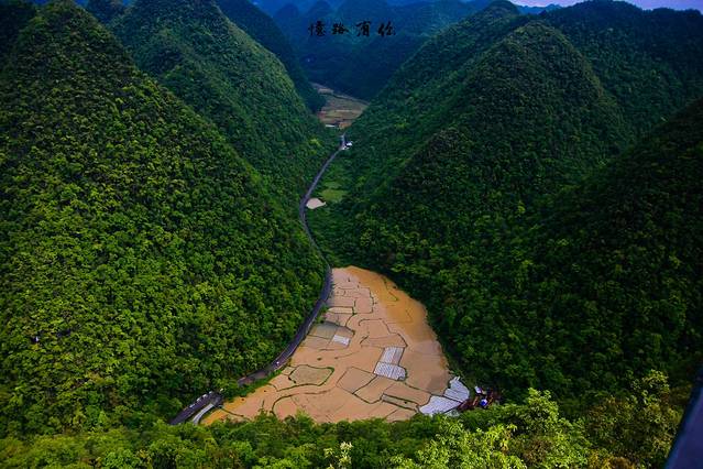 茂兰喀斯特森林