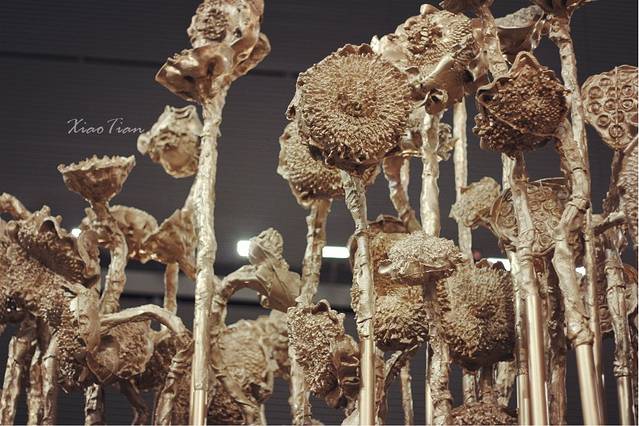 上海世博展览馆