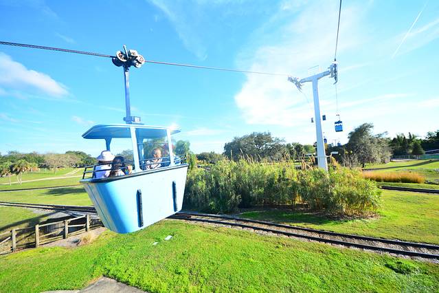 坦帕湾布希花园