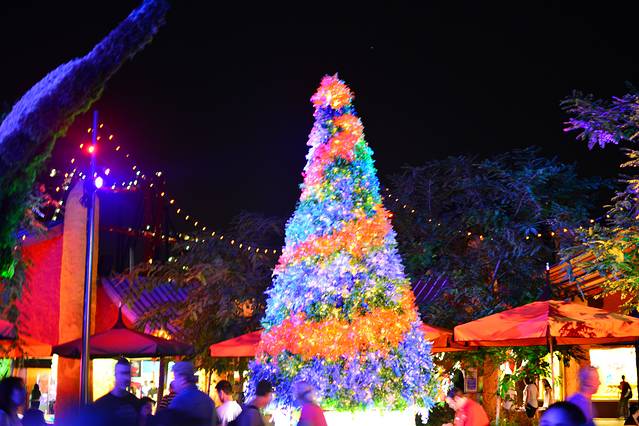 坦帕湾布希花园