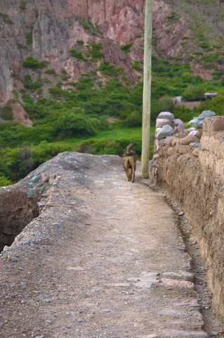 第一次吸毒图片