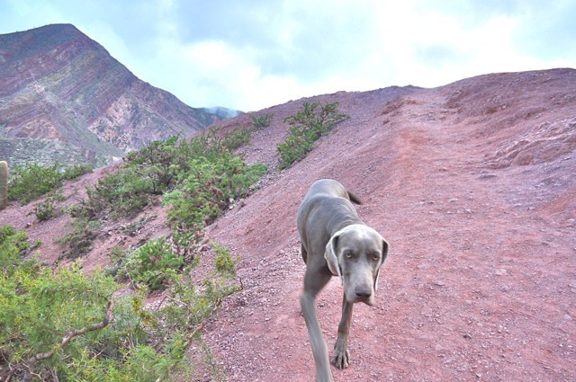 下一站！七彩山图片
