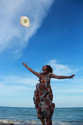 沙滩边上散步的狗狗真是悠闲自得啊自嗨后的小宁静面对大海春暖花开来