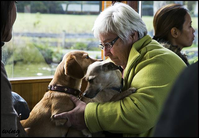 最难忘-2014年秋天自驾在奥地利、斯洛伐克、