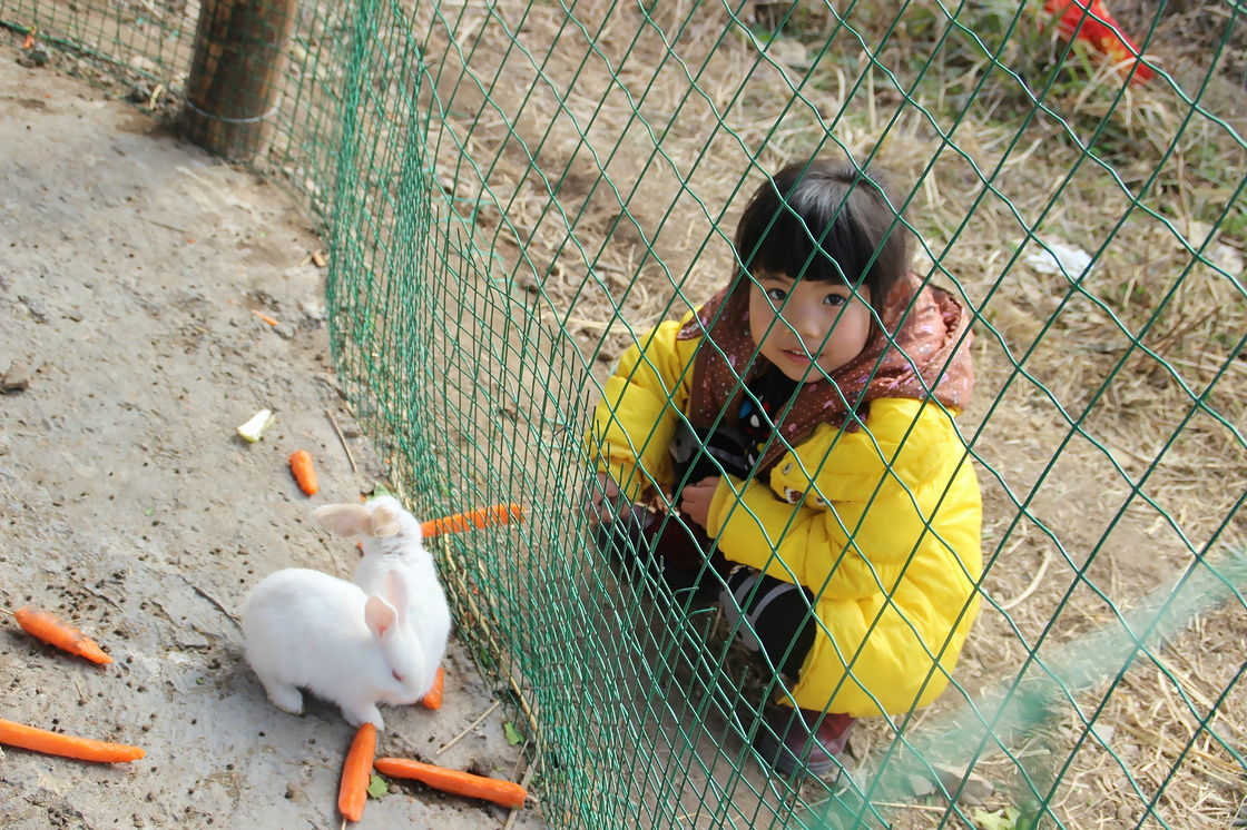 亲子游之湖横农场