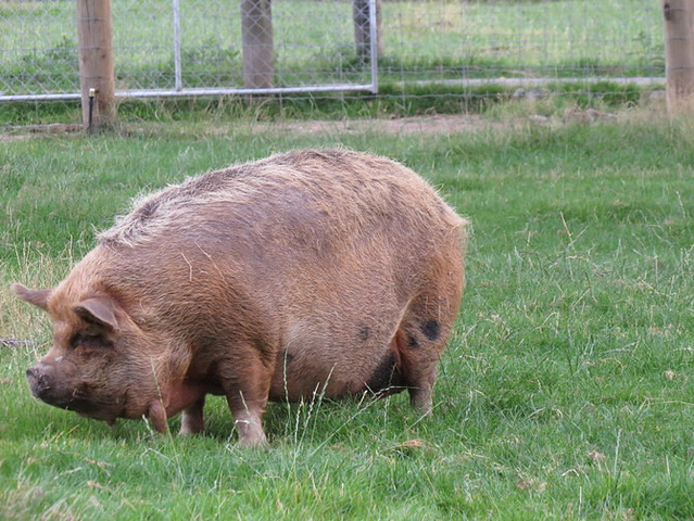 你好,旧时光!15天新西兰南岛疯狂自驾