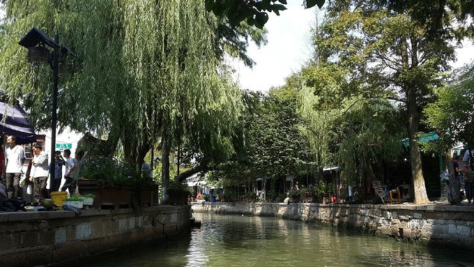 [朱家角一日游]人生难得一日闲～-上海旅游攻略-游记-去哪儿攻略