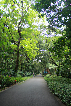 2017华南植物园_旅游攻略_门票_地址_游记点