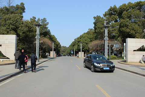 天井湖公园旅游景点攻略图