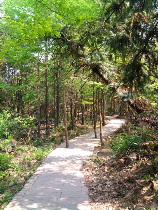 宁波九峰山景区