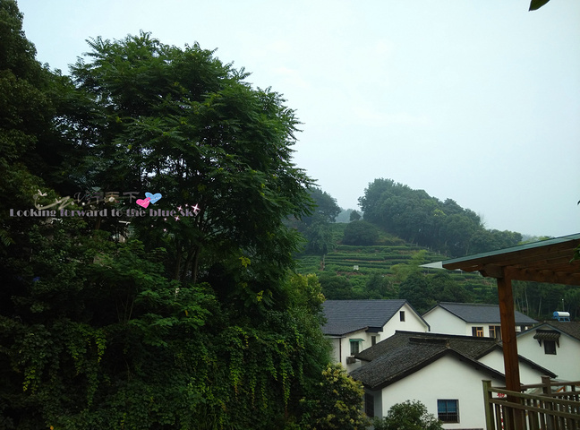 .力,然后用打车软件叫了出租车回酒店,回头看上