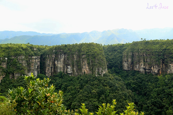 "...天飘降，轻柔，飘忽，无声无息……与雄伟壮阔的悬崖背景，刚柔并济，奇妙地融为一体，真叫人叹为观止_广东大峡谷"的评论图片