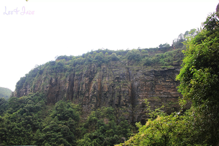 "...天飘降，轻柔，飘忽，无声无息……与雄伟壮阔的悬崖背景，刚柔并济，奇妙地融为一体，真叫人叹为观止_广东大峡谷"的评论图片