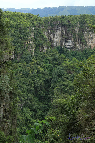 "...天飘降，轻柔，飘忽，无声无息……与雄伟壮阔的悬崖背景，刚柔并济，奇妙地融为一体，真叫人叹为观止_广东大峡谷"的评论图片