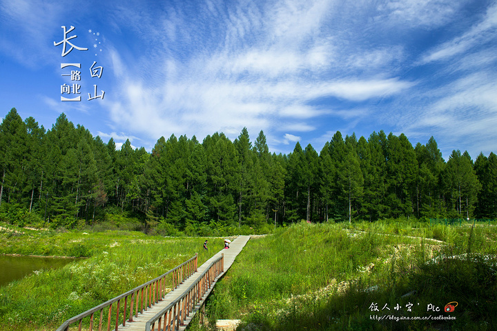 "水天一色。河的对岸是老松江村，有不少村民在河边劳作、游玩，一片安逸的景象。蜿蜒的“松江河”_松江河森林公园"的评论图片