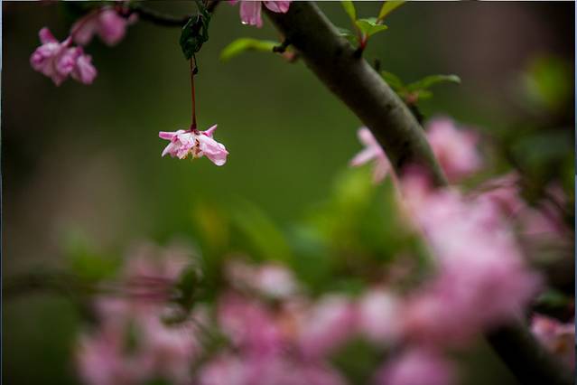 钟山风景区紫霞湖