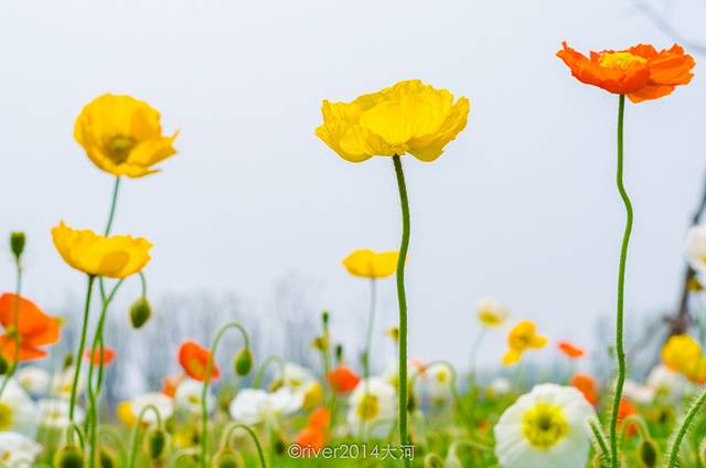 三台山国家森林公园