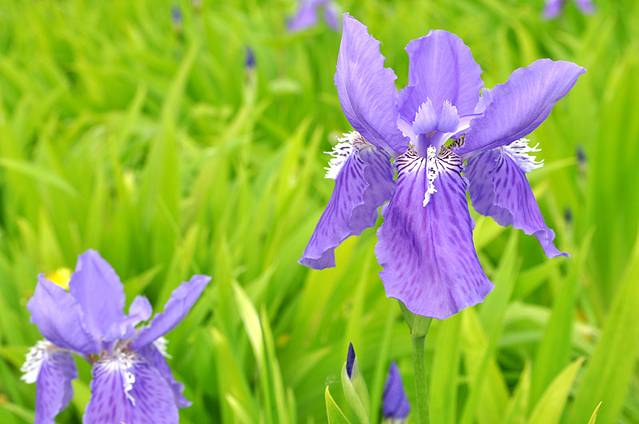 北京周边游(多次)