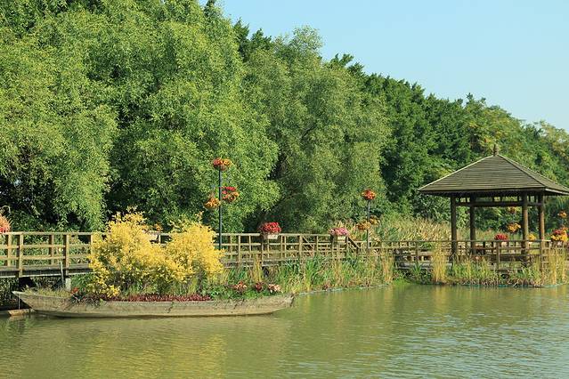 大湾区中央湿地公园