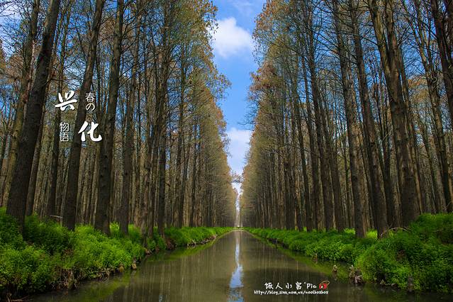 李中水上森林公园