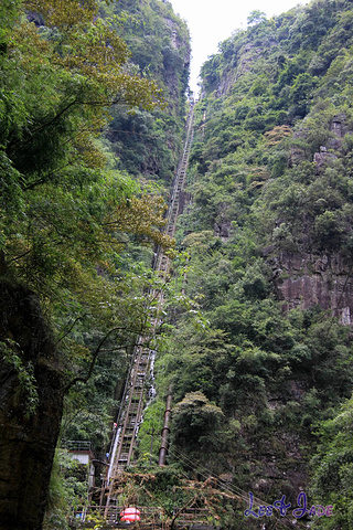 "...天飘降，轻柔，飘忽，无声无息……与雄伟壮阔的悬崖背景，刚柔并济，奇妙地融为一体，真叫人叹为观止_广东大峡谷"的评论图片