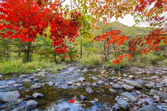 蒲石河森林公园