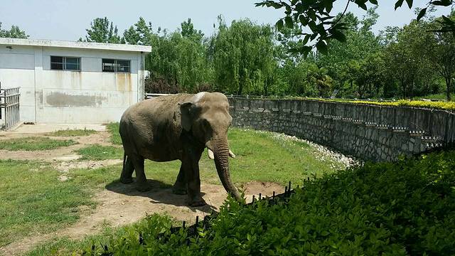 西安秦岭野生动物园